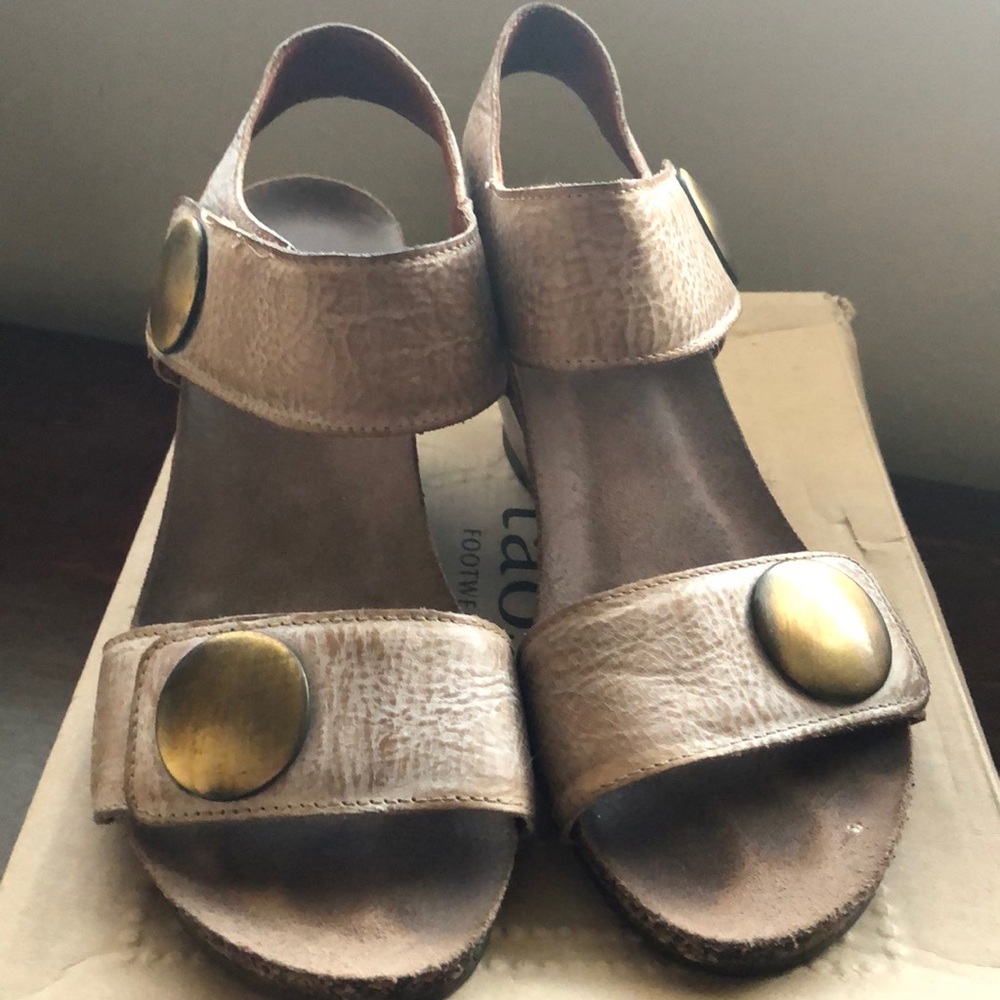 Women’s Taos Carousell sandal wedges in Taupe